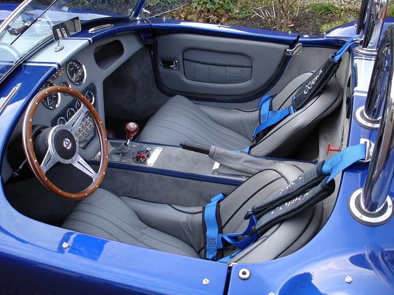 Pilgrim cobra 1.JPG