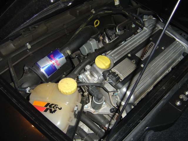 RedBull.jpg