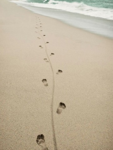 dagjestrand.jpg