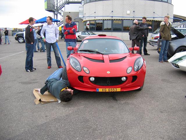 kooi 1.JPG