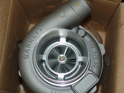 DSC00662.jpg