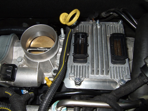 2007_09010052.jpg