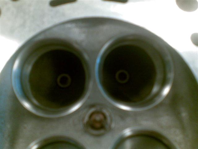 Afb068 (Small).jpg