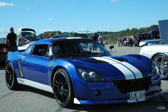 speedy met stripes.jpg