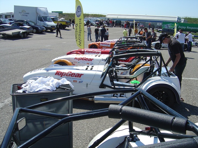 LotusCup08.JPG