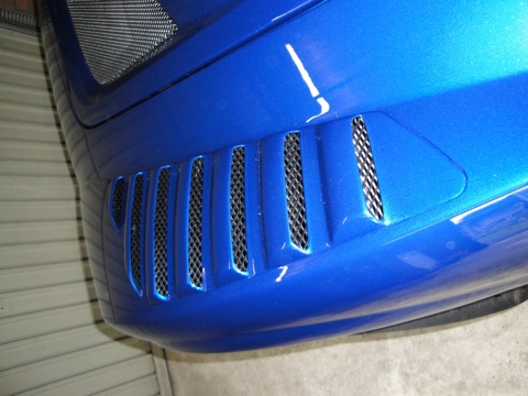 close-up klein.jpg