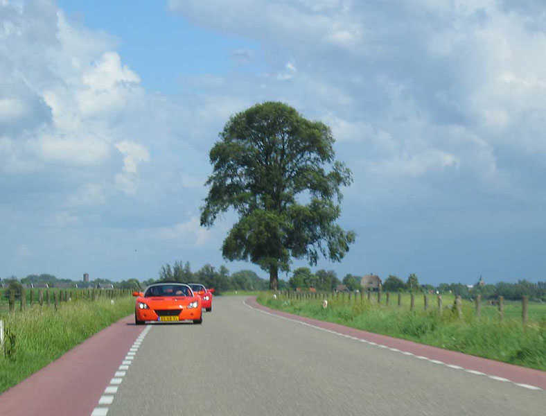 MaasenWaal.jpg