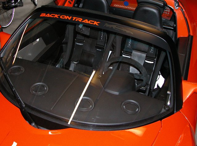 Herschaalde kopie van dscn0006bijgesne.jpg