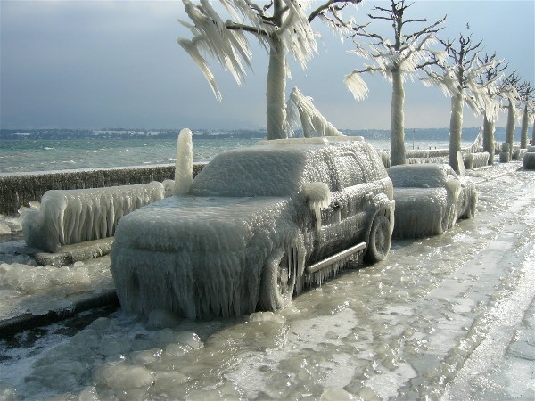 Web 02-2006%20krabben.jpg
