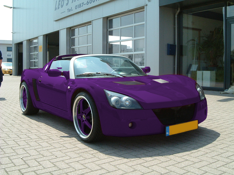 speedsterpaars.jpg
