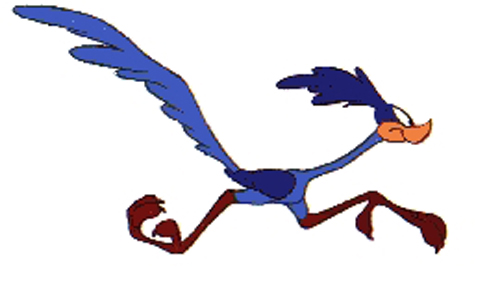 roadrunner.jpg