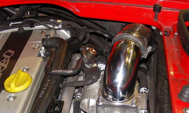 Tophat in Speedster.jpg