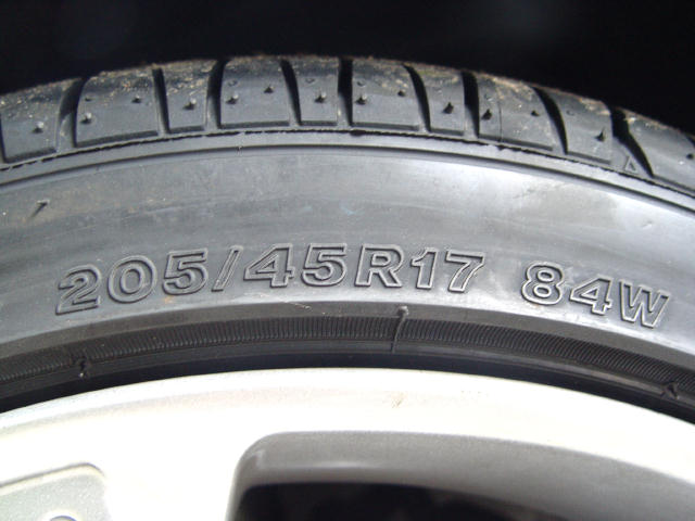205-5.jpg