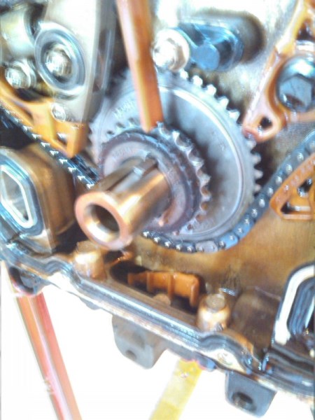 IMG_20140927_175025 (450 x 600).jpg