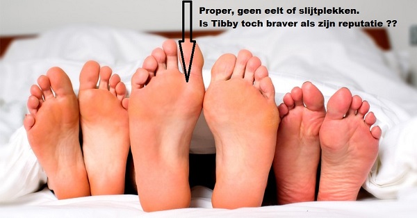 trio-verhaal-throuple-seks-970x508_zps2hzijvpp.jpg