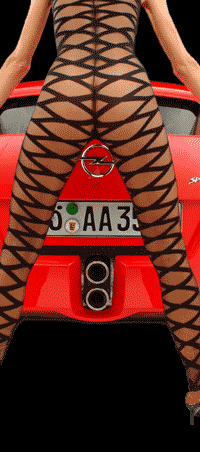 model4.gif